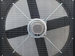 Kuhdusche, Stall Kühlung, Vernebelung, Wasserkühlung, ABBI Lüfter