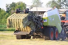 Kopf Ballenstapler für Quadrant