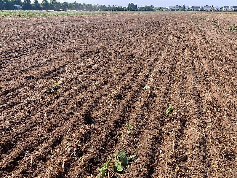 Pöttinger Terradisc 3001