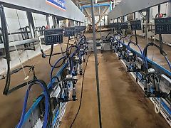 DeLaval - Melkstand 2x6