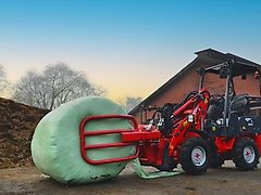 WEMATIK Ballengreifer Darwin mit Euroaufnahme