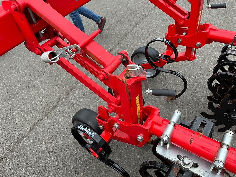 Einböck ROLLSTAR EMR 8 -reiher Rollsternhackgerät, Maishacke