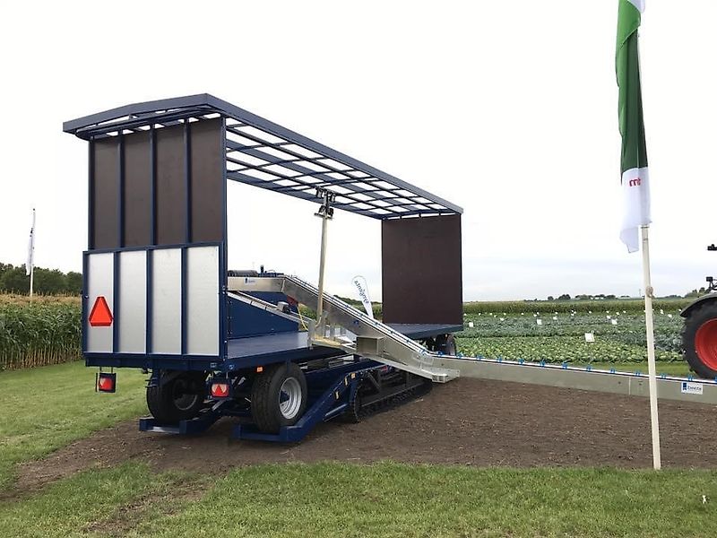 J. van der Sluis BV. Bloemkool / Broccoli oogstrups