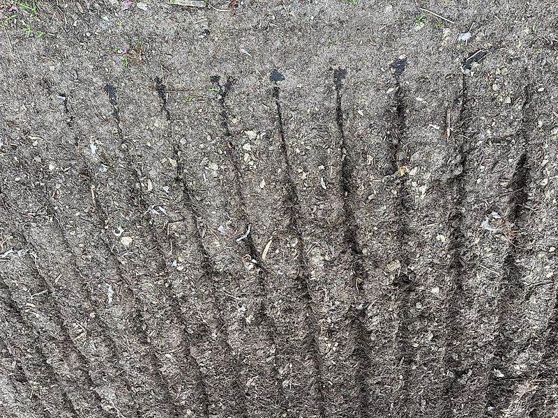 Evers Grasnarbenlüfter GB 250 mit Horganic Flüssigkeitssystem